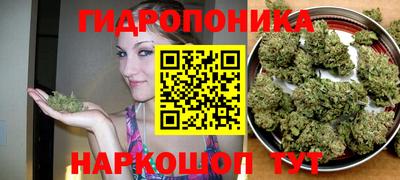 гидра Ефремов