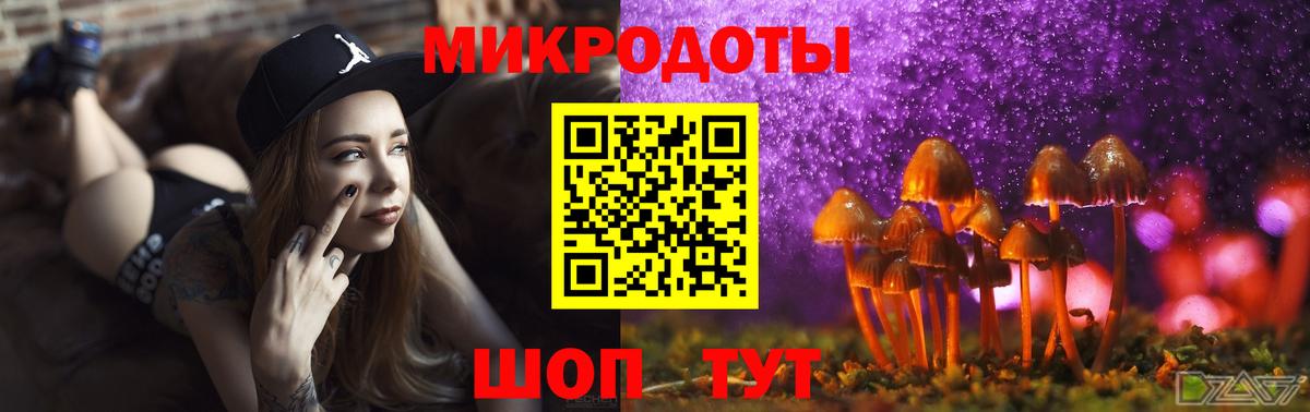 Псилоцибиновые грибы мицелий  Вход с VPN  Аргун 